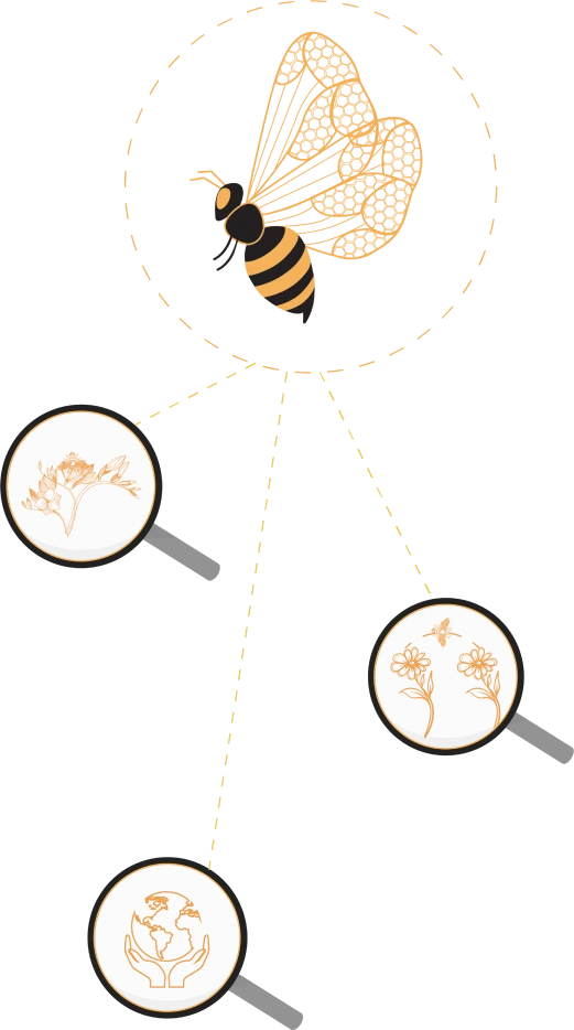 Geohoney Scope of Business